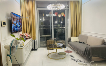Cho thuê căn hộ 2 phòng ngủ Vinhomes Central park view city
